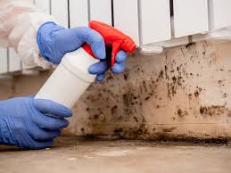 Mold Remediation for Vacation Homes in Woodlynne, NJ